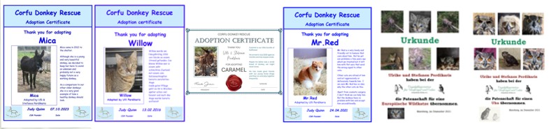 CDR Corfu - Corfu-Shop