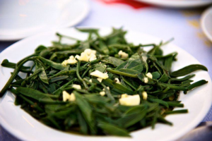 Kritamos - Meerfenchel - 950gr