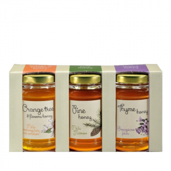 Honig Geschenkset - Thymian - Pinie - Orange