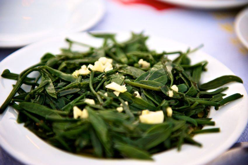 Kritamos - Meerfenchel - 950gr