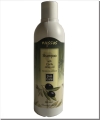 Shampoo Olivenöl